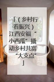 （乡村行·看振兴）江西安福“小西瓜”撬动乡村共富“大支点”