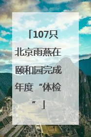 107只北京雨燕在颐和园完成年度“体检”