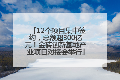 12个项目集中签约，总额超300亿元！金砖创新基地产业项目对接会举行