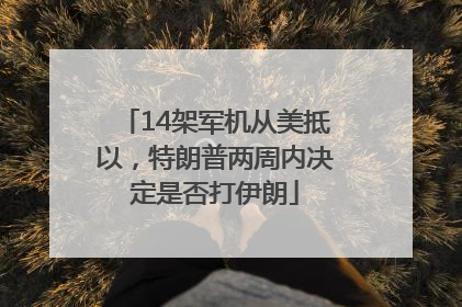 14架军机从美抵以，特朗普两周内决定是否打伊朗