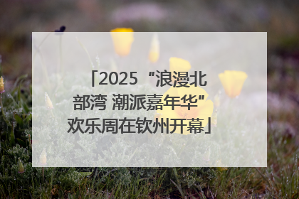 2025“浪漫北部湾 潮派嘉年华”欢乐周在钦州开幕
