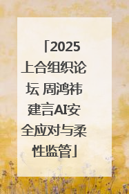 2025上合组织论坛 周鸿祎建言AI安全应对与柔性监管