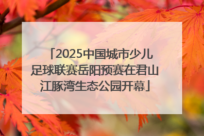 2025中国城市少儿足球联赛岳阳预赛在君山江豚湾生态公园开幕