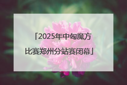 2025年中匈魔方比赛郑州分站赛闭幕