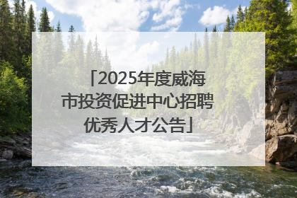 2025年度威海市投资促进中心招聘优秀人才公告