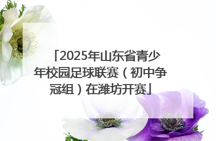 2025年山东省青少年校园足球联赛（初中争冠组）在潍坊开赛