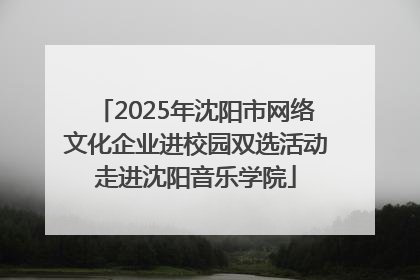 2025年沈阳市网络文化企业进校园双选活动走进沈阳音乐学院