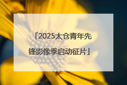 2025太仓青年先锋影像季启动征片