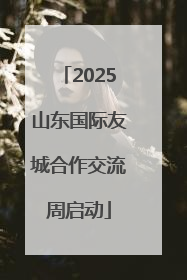 2025山东国际友城合作交流周启动