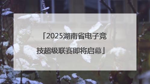 2025湖南省电子竞技超级联赛即将启幕
