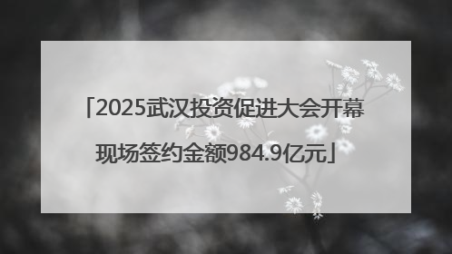 2025武汉投资促进大会开幕 现场签约金额984.9亿元