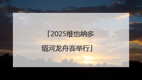 2025维也纳多瑙河龙舟赛举行