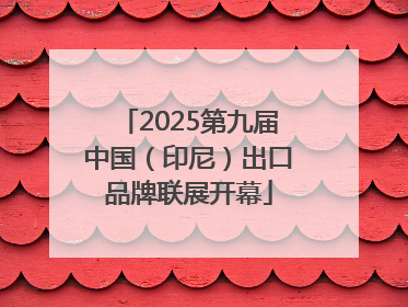 2025第九届中国（印尼）出口品牌联展开幕