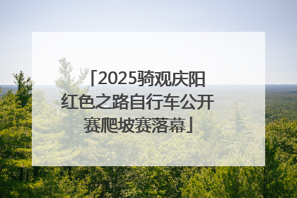 2025骑观庆阳红色之路自行车公开赛爬坡赛落幕