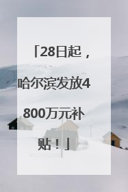 28日起，哈尔滨发放4800万元补贴！