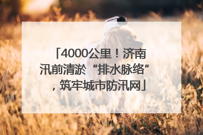 4000公里！济南汛前清淤“排水脉络”，筑牢城市防汛网