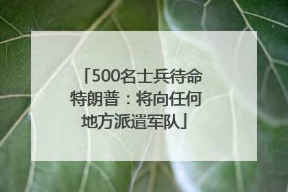 500名士兵待命 特朗普：将向任何地方派遣军队