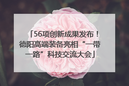 56项创新成果发布！德阳高端装备亮相“一带一路”科技交流大会