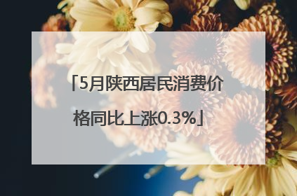 5月陕西居民消费价格同比上涨0.3%