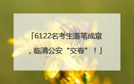 6122名考生落笔成章，临清公安“交卷”！