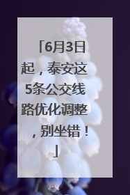 6月3日起，泰安这5条公交线路优化调整，别坐错！