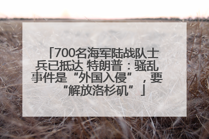 700名海军陆战队士兵已抵达 特朗普：骚乱事件是“外国入侵”，要“解放洛杉矶”