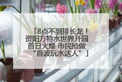 8点不到排长龙！资阳方特水世界开园首日火爆 市民抢做“首波玩水达人”