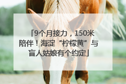 9个月接力，150米陪伴！海淀“柠檬黄”与盲人姑娘有个约定