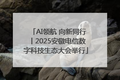 AI领航 向新同行丨2025安徽电信数字科技生态大会举行