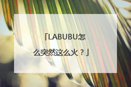 LABUBU怎么突然这么火？
